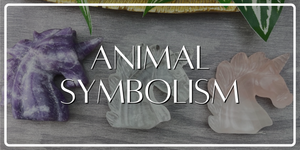 12 Animals and their Symbolism