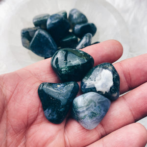 Moss Agate Tumbled Stones - The Bead N Crystal & Enclave Gems