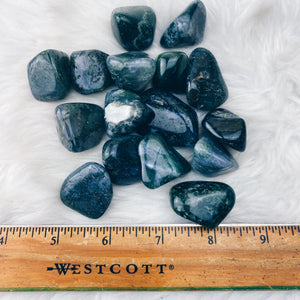 Moss Agate Tumbled Stones - The Bead N Crystal & Enclave Gems