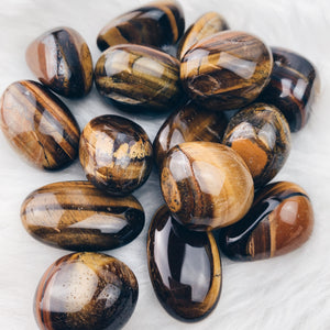 Tiger's Eye Tumbled Stone (953) - The Bead Shoppe & Enclave Gems