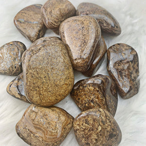 Bronzite Lg Tumbled Stones (985) - The Bead Shoppe & Enclave Gems
