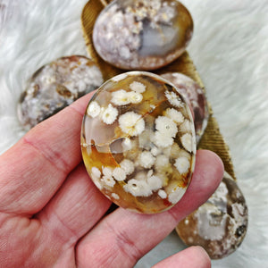 Flower Agate Palm Stone - Stunning Inclusions - The Bead N Crystal & Enclave Gems