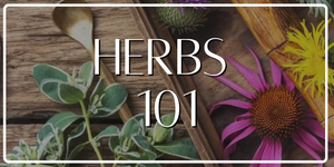 Herbs 101