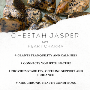 Cheetah Jasper