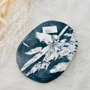 Chrysanthemum Stone Palm Stone - The Bead N Crystal & Enclave Gems