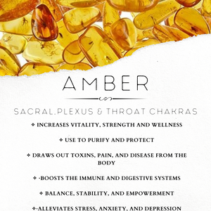 Amber 6 mm - The Bead N Crystal & Enclave Gems