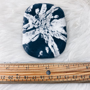 Chrysanthemum Stone Palm Stone - The Bead N Crystal & Enclave Gems