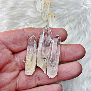 Lemurian Points (Columbia) - The Bead N Crystal & Enclave Gems