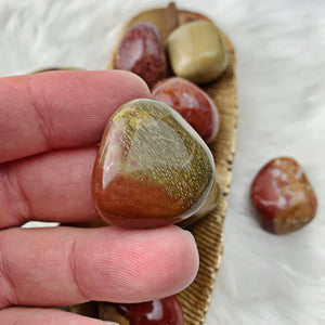 Petrified Wood Tumbled Stones (811) - The Bead N Crystal & Enclave Gems