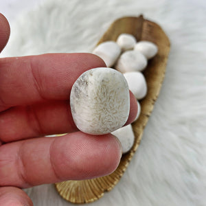 Scolecite Tumbled Stones (810) - The Bead N Crystal & Enclave Gems