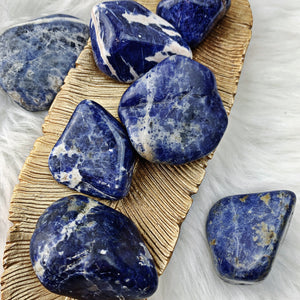 Sodalite Tumbled Stones (816) - The Bead N Crystal & Enclave Gems