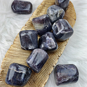 Iolite Tumbled Stones (819) - The Bead N Crystal & Enclave Gems