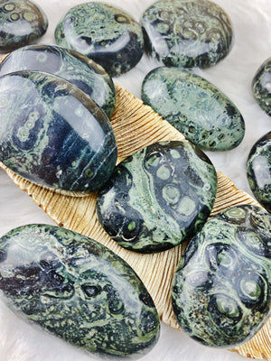 Kambaba Jasper Palm Stone - The Bead N Crystal & Enclave Gems