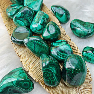 Malachite Tumbled Stones (9) - The Bead N Crystal & Enclave Gems