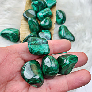 Malachite Tumbled Stones (9) - The Bead N Crystal & Enclave Gems
