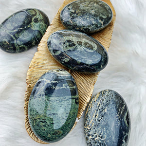 Kambaba Jasper Palm Stones (15) - The Bead N Crystal & Enclave Gems