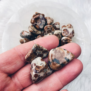 Garnet in Limestone Tumbled Stones - The Bead N Crystal & Enclave Gems