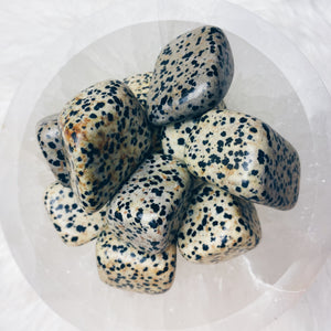 Dalmatian Jasper Tumbled Stones - The Bead N Crystal & Enclave Gems