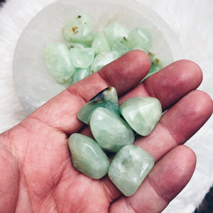 Prehnite Tumbled Stones - The Bead N Crystal & Enclave Gems