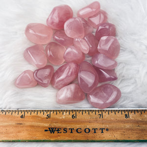 Rose Quartz Tumbled Stones - The Bead N Crystal & Enclave Gems