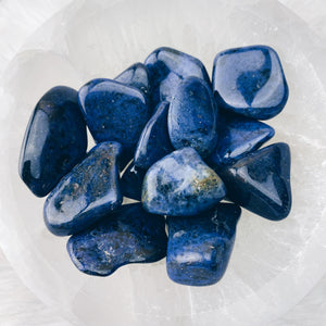 Dumortierite Tumbled Stones - The Bead N Crystal & Enclave Gems