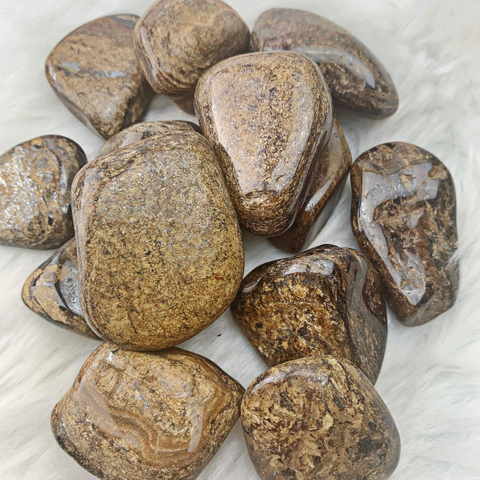 Bronzite Lg Tumbled Stones (985)