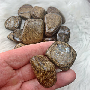 Bronzite Lg Tumbled Stones (985) - The Bead Shoppe & Enclave Gems