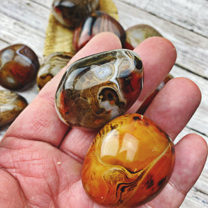 Sardonyx Palm Stones (65) - The Bead N Crystal & Enclave Gems