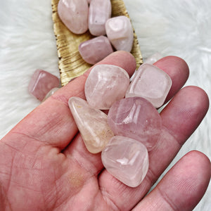 Rose Quartz Tumbled Stones (Set of 2) (50) - The Bead N Crystal & Enclave Gems