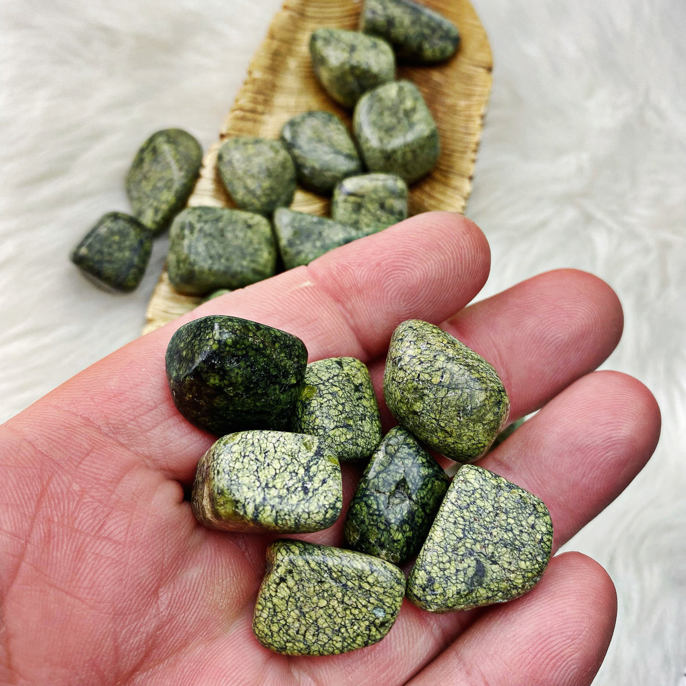 Serpentine Tumbled Stones (Set of 3) (60)