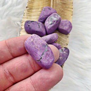 Purpurite Tumbled Stones (37) - The Bead N Crystal & Enclave Gems