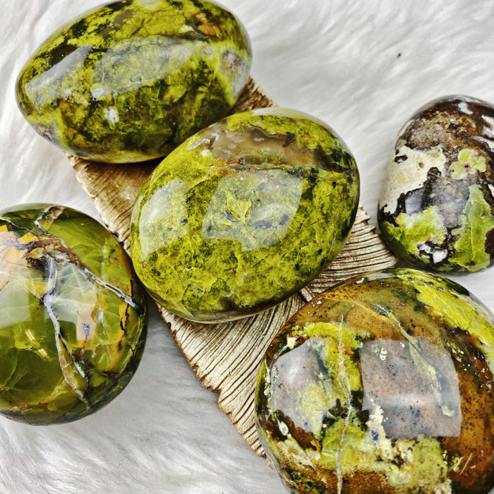 Green Opal Palm Stone LG - Gorgeous Vibrant Green!