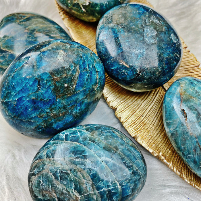 Apatite Palm Stone LG - Vibrant Blue