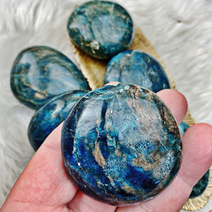 Apatite Palm Stone LG - Vibrant Blue - The Bead N Crystal & Enclave Gems