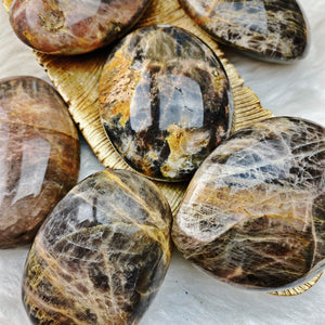 Black Moonstone Palm Stone LG - The Bead N Crystal & Enclave Gems