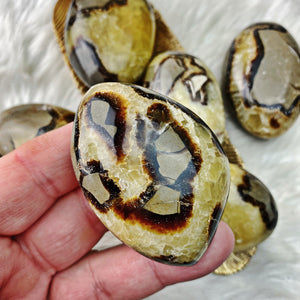 Septarian Long Palm Stone - Beautiful Lines - The Bead N Crystal & Enclave Gems