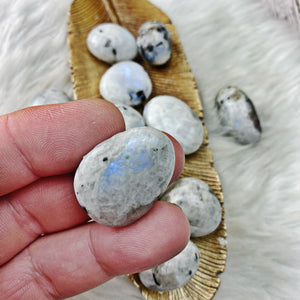 Moonstone Tumbled Stones - Blue Flash! - The Bead N Crystal & Enclave Gems