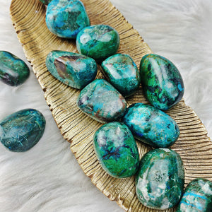 Chrysocolla Tumbled Stones - STUNNING - The Bead N Crystal & Enclave Gems