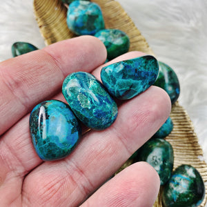 Chrysocolla Tumbled Stones - STUNNING - The Bead N Crystal & Enclave Gems