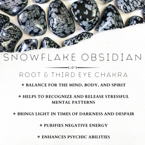 Snowflake Obsidian 6 mm - The Bead N Crystal & Enclave Gems